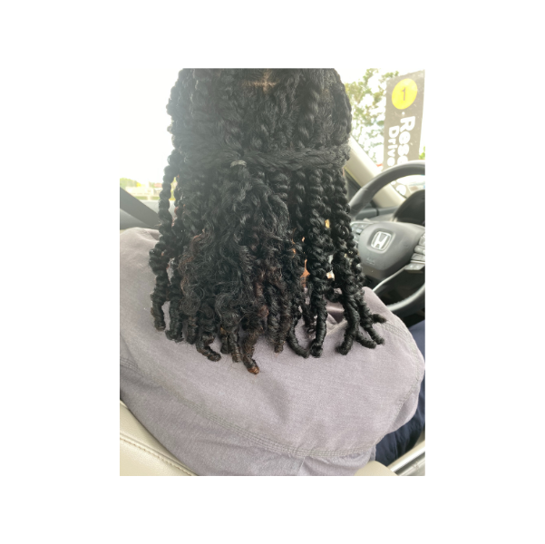 Back view of natural hair styled in a two-strand twists style.